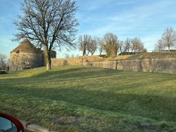 291-21-01-2026 IMG_3527